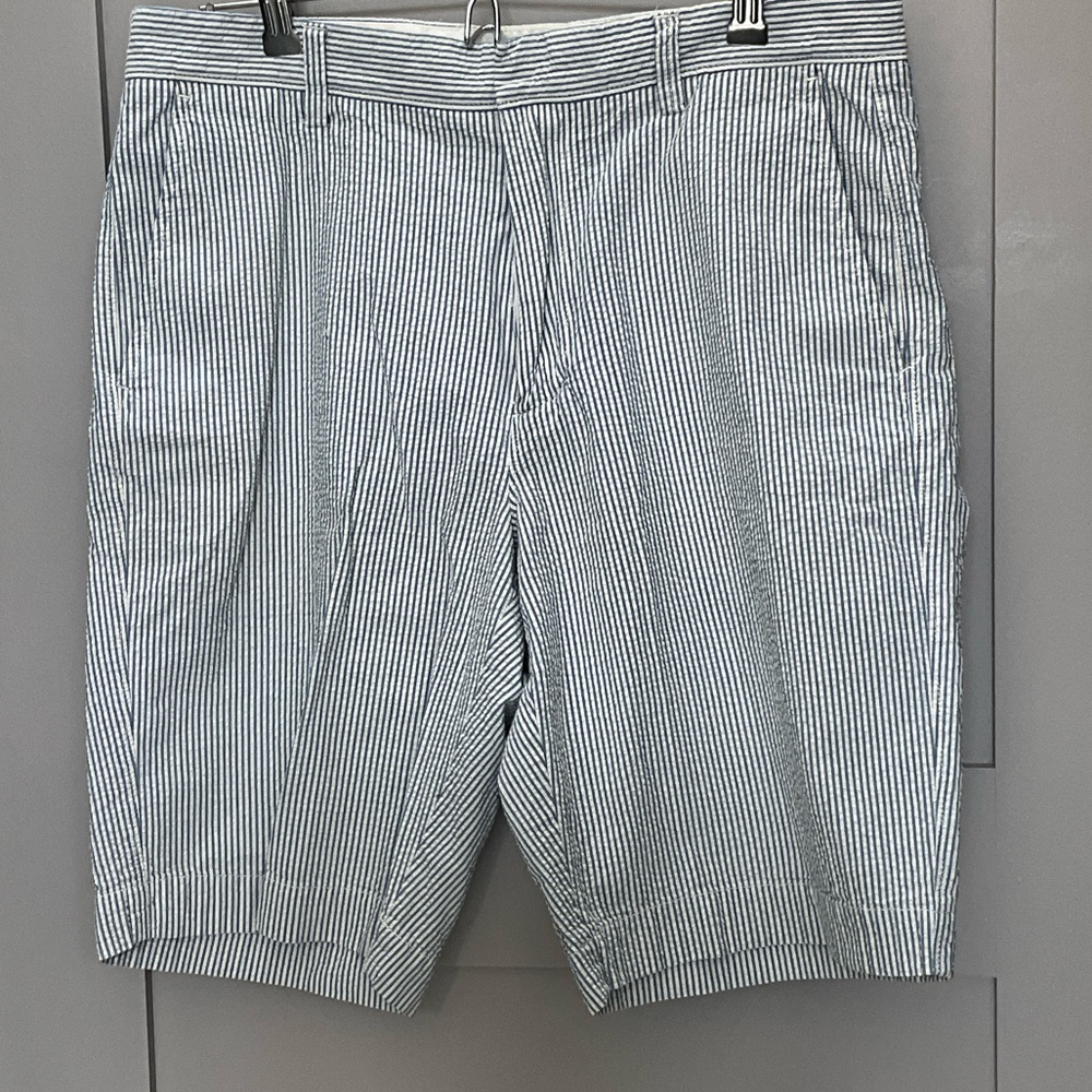 J. Crew Blue and White Striped Men's Shorts